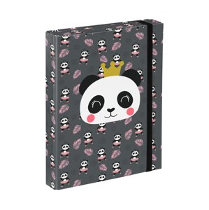 BAAGL Desky na školní sešity A5 Panda