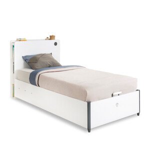 ASIR Postel WHITE