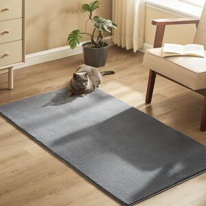 SONGMICS Protiskluzový koberec DARVIN  80 x 150 cm světle šedý