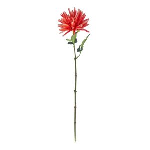 FLORISTA Jiřina 59 cm - červená