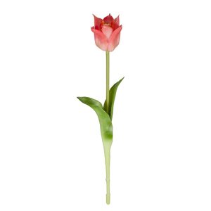 FLORISTA Tulipán 45 cm - růžová