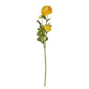 FLORISTA Pryskyřník 63 cm - žlutá