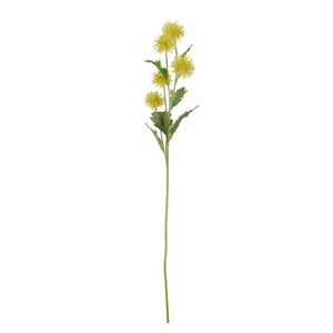 FLORISTA Bodlák 72 cm - žlutá