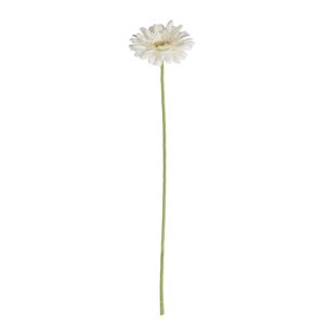 FLORISTA Gerbera 62 cm - bílá