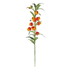FLORISTA Sandersonia 69 cm