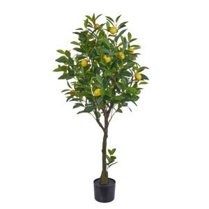 FLORISTA Citroník v květináči 115 cm