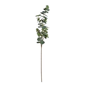 FLORISTA Eukalyptus 88 cm