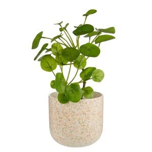 SPOT Květináč 20 cm