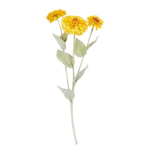 FLORISTA Ostálka 50 cm - žlutá