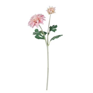 FLORISTA Jiřina 55 cm - sv. růžová