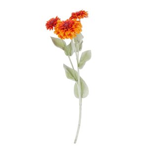 FLORISTA Ostálka 50 cm - oranžová