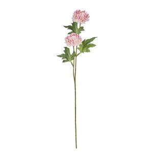 FLORISTA Chryzantéma - sv. růžová