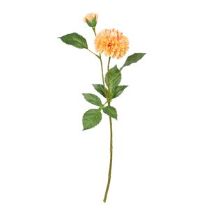 FLORISTA Pivoňka - sv. oranžová