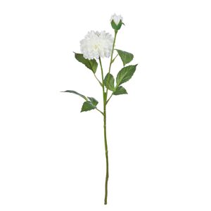 FLORISTA Pivoňka - bílá