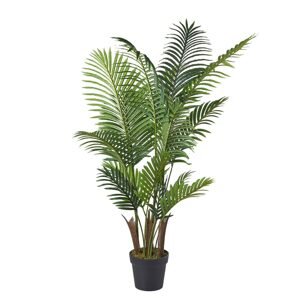 FLORISTA Kapradí v květináči 140 cm