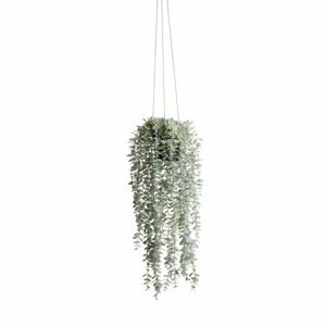 FLORISTA Eukalyptus převislý malý list 65 cm