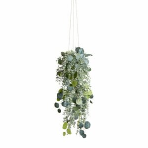 FLORISTA Eukalyptus převislý mix 65 cm